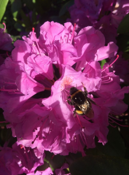 Ilustracja do pytania 7