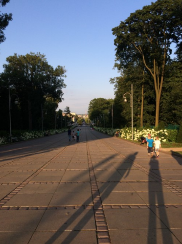 Ilustracja do pytania