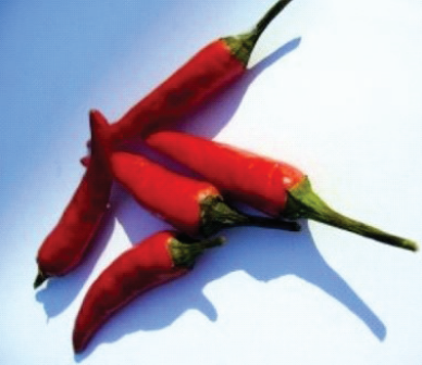 Ilustracja do pytania 35