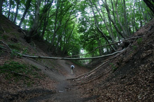 Ilustracja do pytania 3