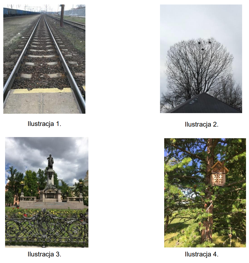 Ilustracja do pytania 18