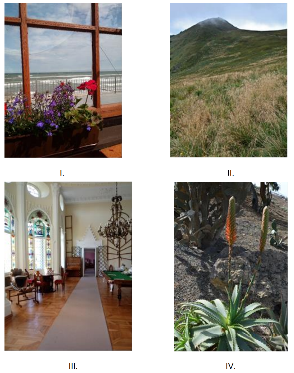 Ilustracja do pytania 28