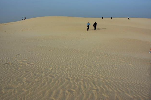 Ilustracja do pytania 17