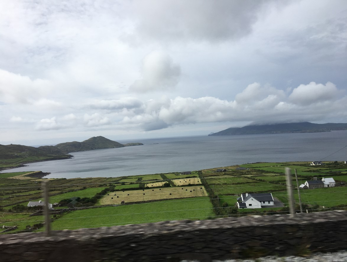 Ilustracja do pytania 14