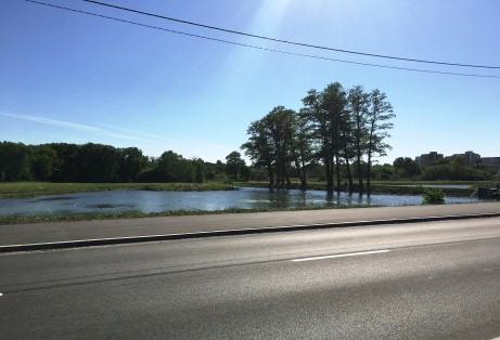 Ilustracja do odpowiedzi A