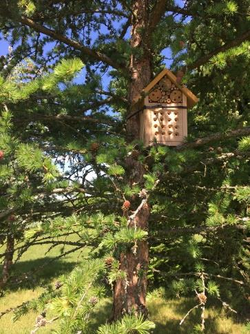 Ilustracja do odpowiedzi C