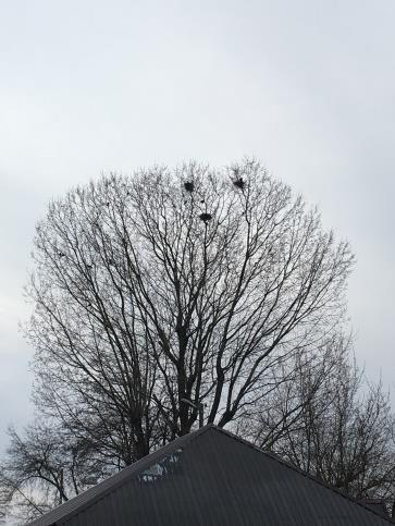 Ilustracja do odpowiedzi A