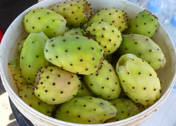 Ilustracja do pytania 11