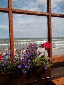 Ilustracja do odpowiedzi A