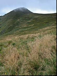 Ilustracja do odpowiedzi C