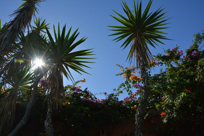 Ilustracja do pytania 28