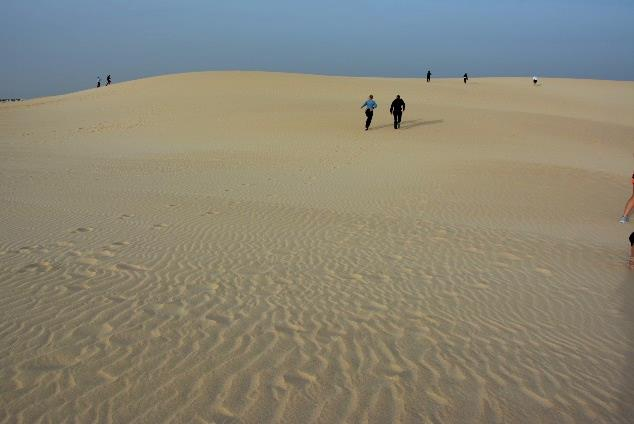 Ilustracja do pytania z kwalifikacji AUD.02