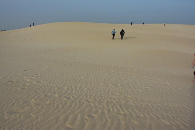 Ilustracja do pytania 37