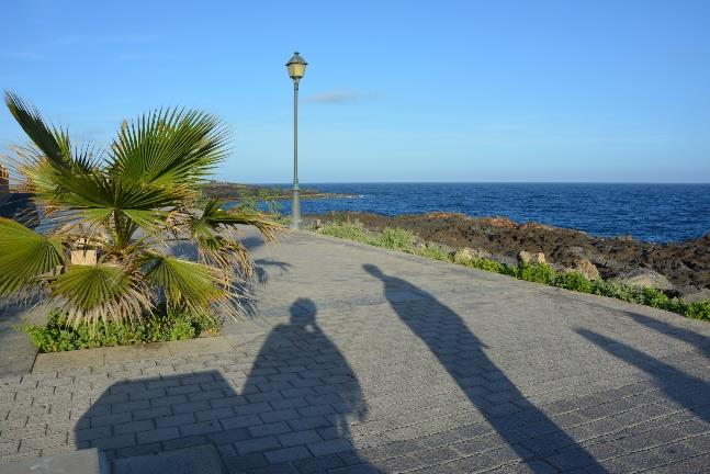 Ilustracja do pytania 21