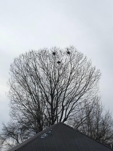 Ilustracja do odpowiedzi A