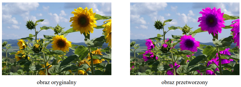 Ilustracja do pytania 6