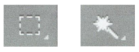 Ilustracja do pytania 38