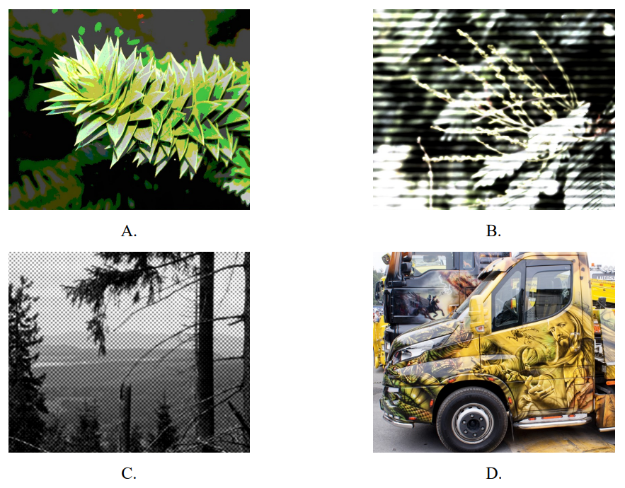 Ilustracja do pytania 11