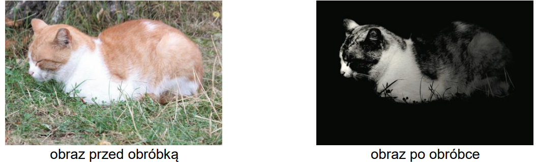 Ilustracja do pytania 32