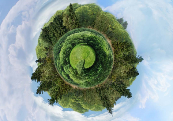 Ilustracja do pytania 9