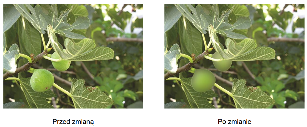 Ilustracja do pytania 40