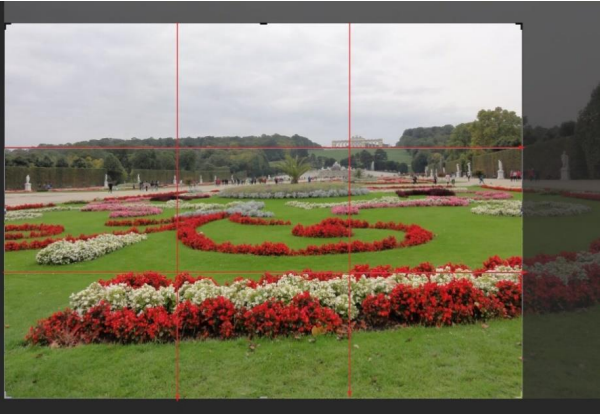 Ilustracja do pytania 22