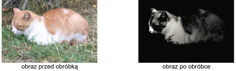 Ilustracja do pytania