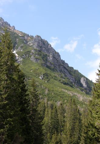 Ilustracja do odpowiedzi A