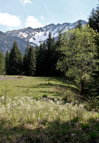 Ilustracja do odpowiedzi C