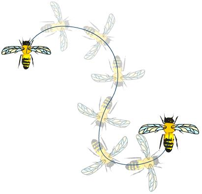 Ilustracja do pytania 35