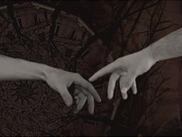 Ilustracja do odpowiedzi C