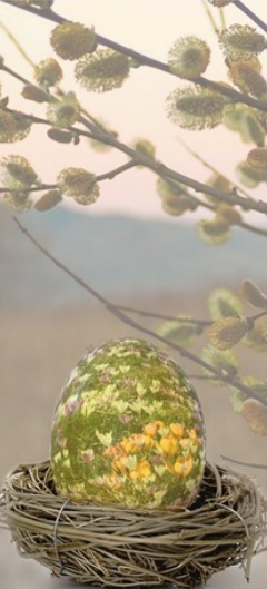 Ilustracja do odpowiedzi A