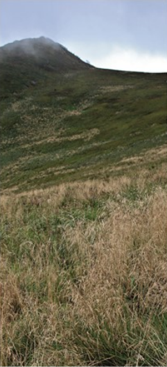 Ilustracja do odpowiedzi B