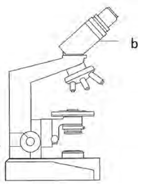 Ilustracja do pytania