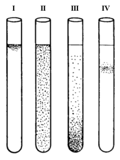Ilustracja do pytania