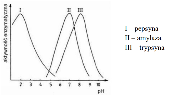 Ilustracja do pytania 1