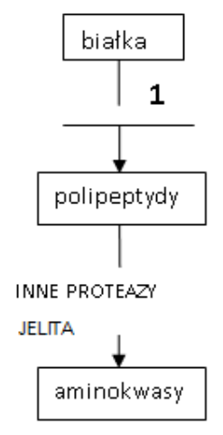 Ilustracja do pytania