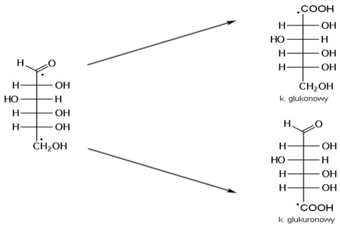 Ilustracja do pytania 39