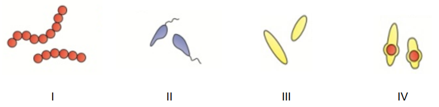 Ilustracja do pytania