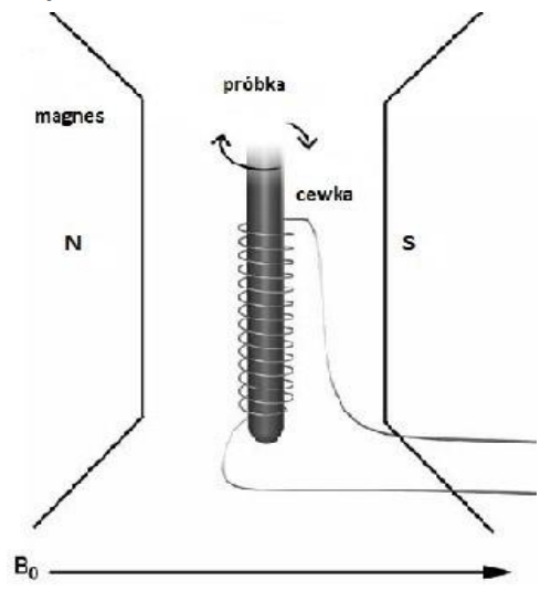 Ilustracja do pytania