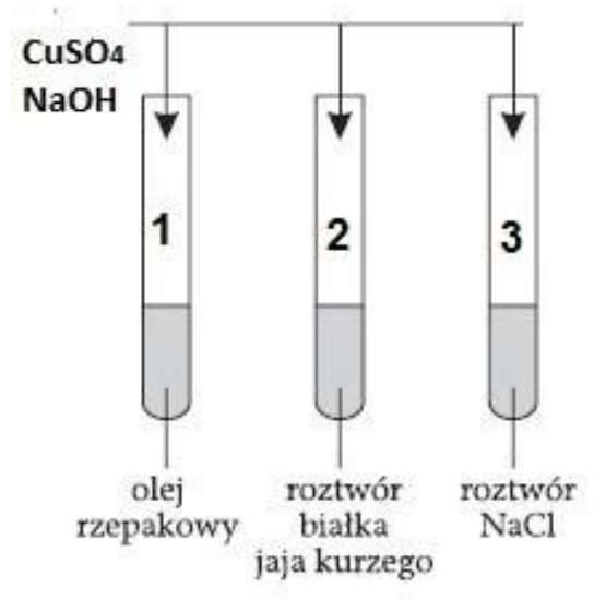 Ilustracja do pytania