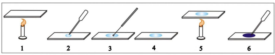 Ilustracja do pytania 32