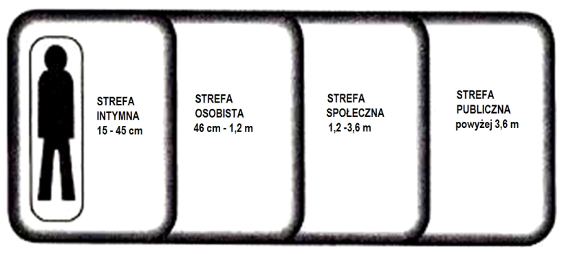Ilustracja do pytania