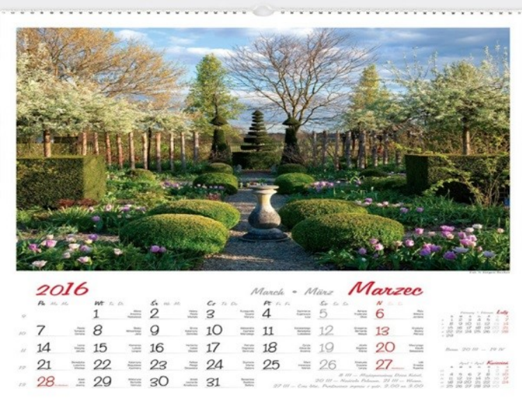 Ilustracja do pytania