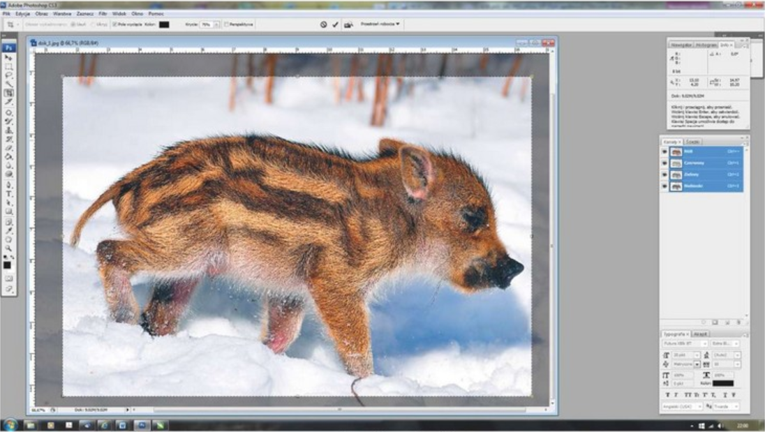 Ilustracja do pytania