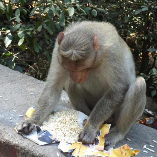 Ilustracja do pytania