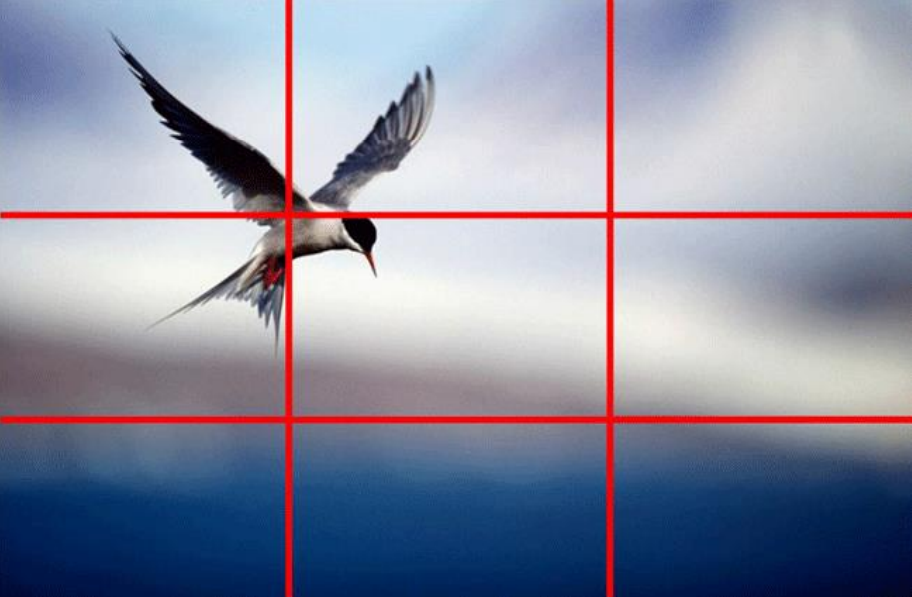 Ilustracja do pytania