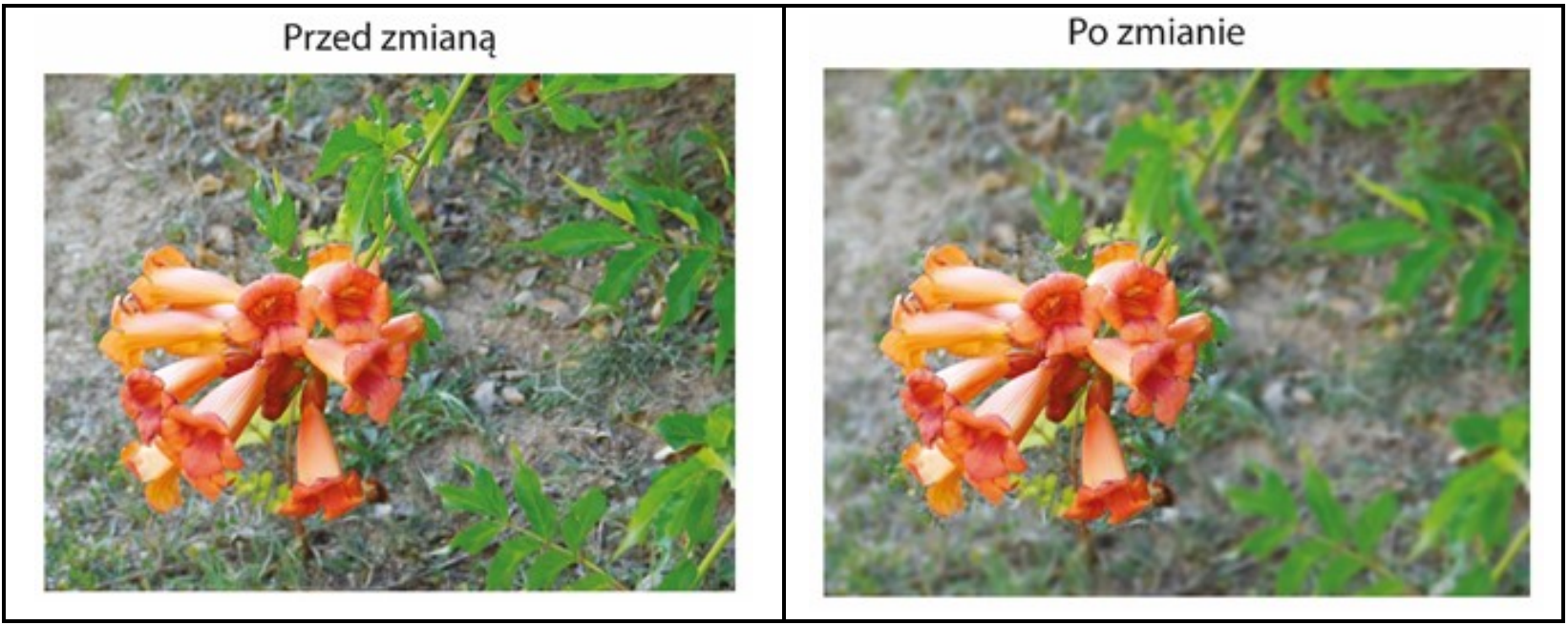 Ilustracja do pytania