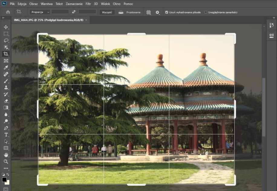 Ilustracja do pytania