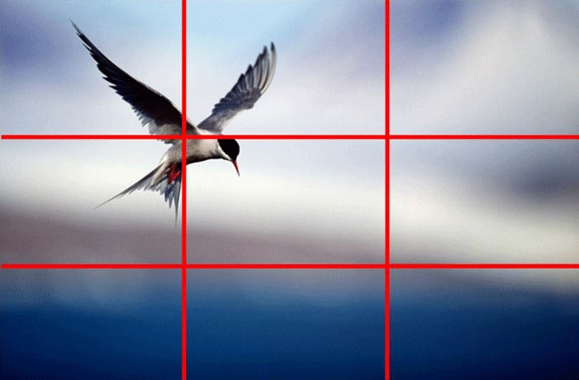 Ilustracja do pytania